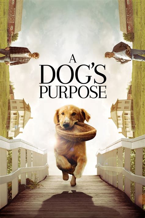 a dog's purpose movie online